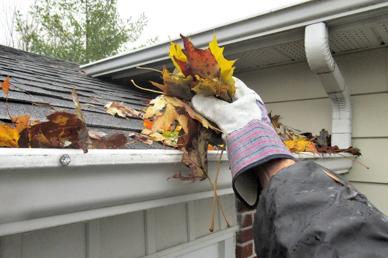 Gutter and Vent Maintenance