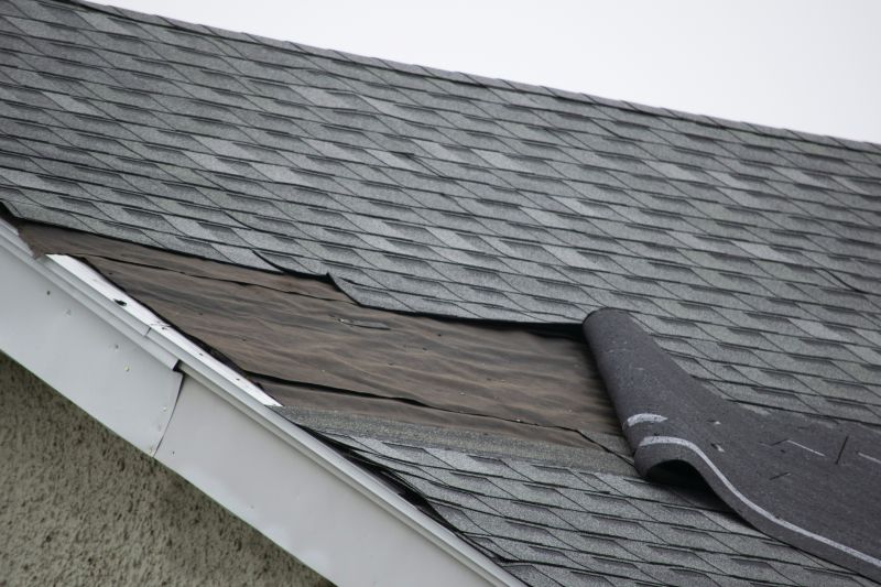 Damaged Shingles